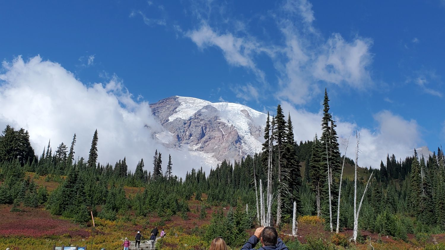 Mount Rainier NP 